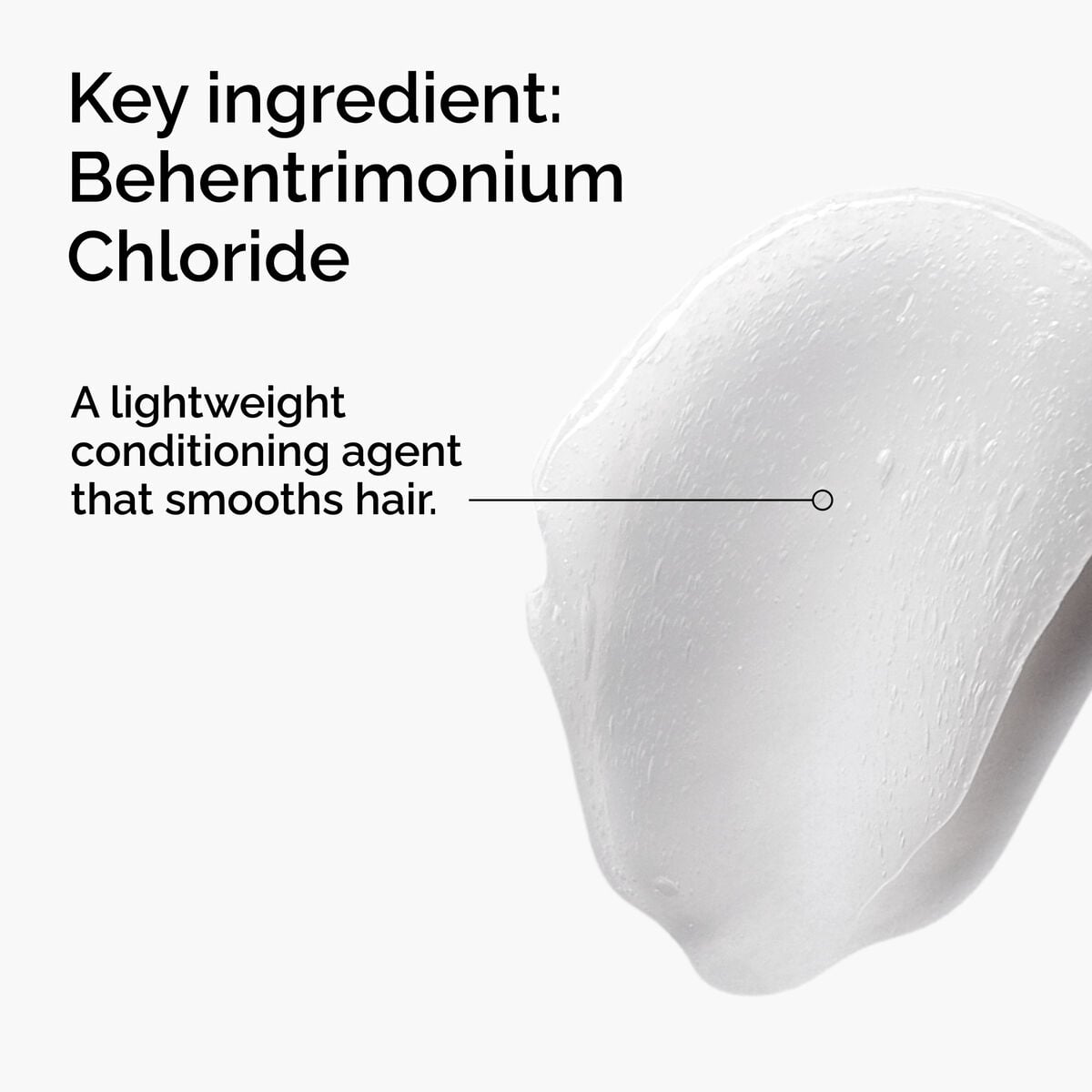 behentrimonium-chloride-2-conditioner-v4 FY25-D41247-ORD-Web-PDP-BTC-1x1-EN-2a.jpg