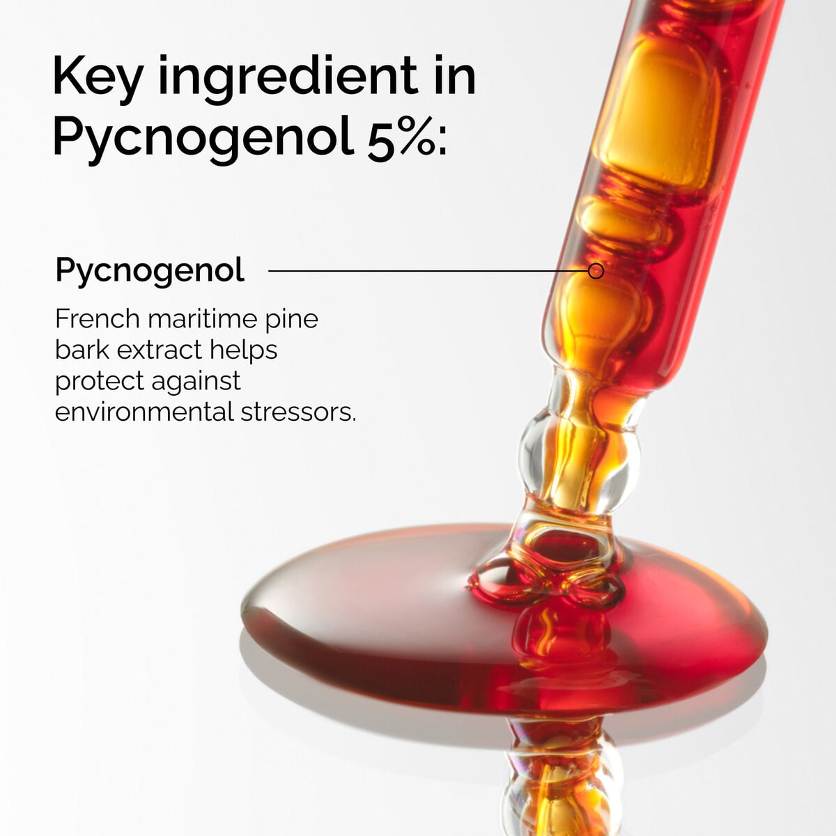 pycnogenol-5-t8 FY25-D41247-ORD-Web-PDP-Pyc-5pct-1x1-EN-2a.jpg