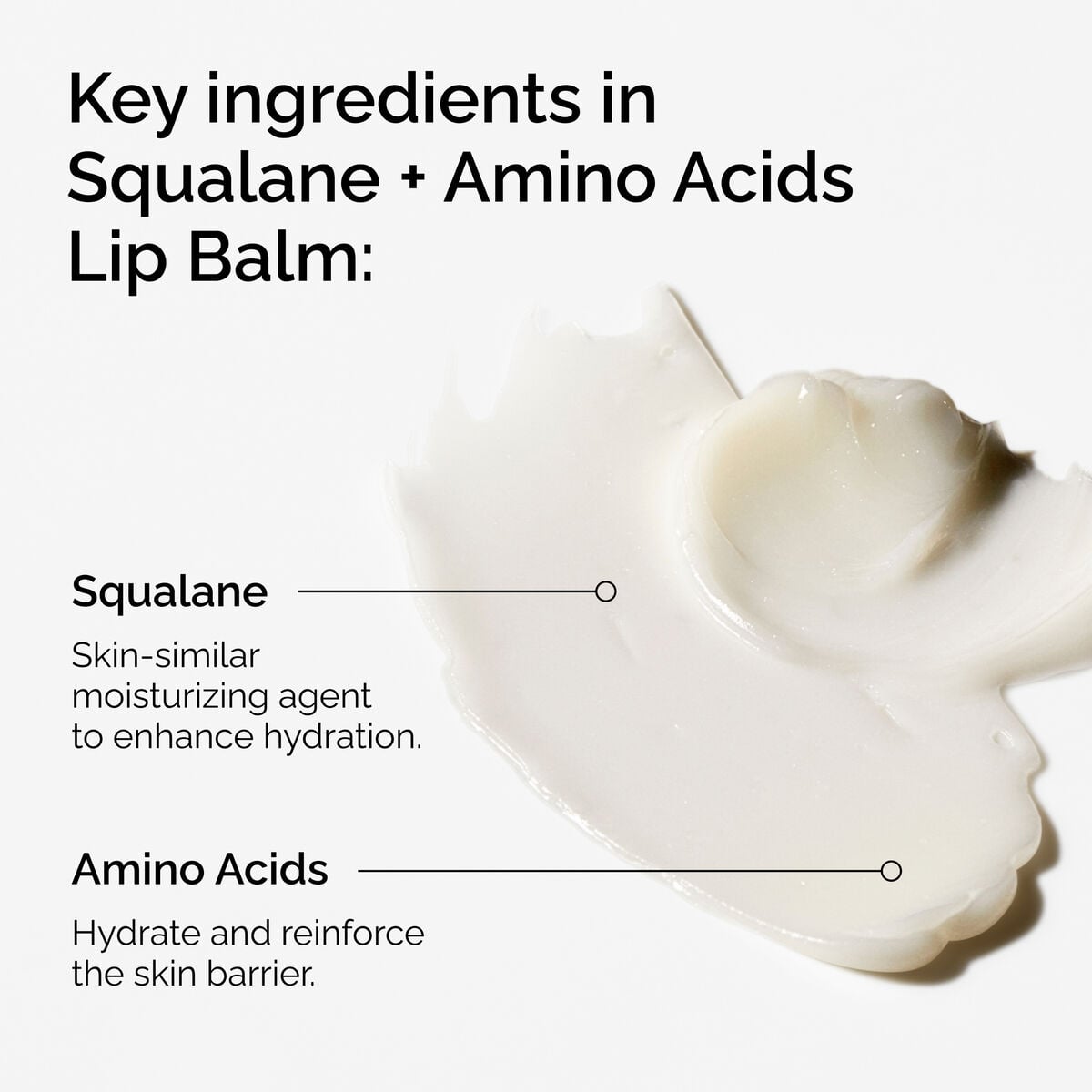squalane-amino-acids-lip-balm-s4 FY25-D41247-ORD-Web-PDP-Sql-Amino-Lip-1x1-EN-2a.jpg