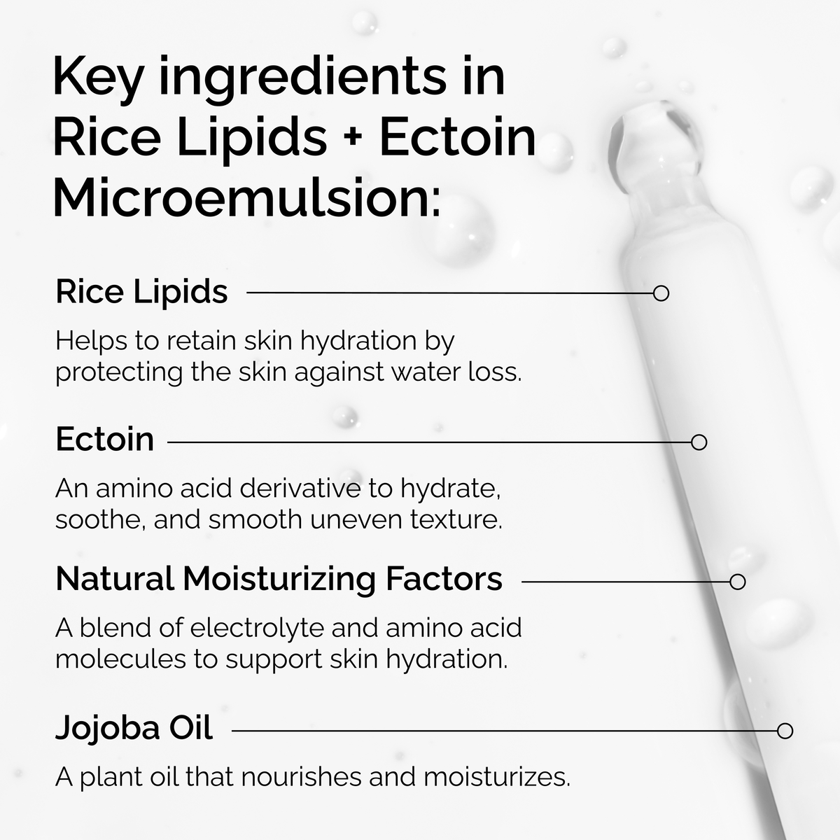 rice-lipids-ectoin-microemulsion-z4 ord-rice-lipids-ectoin-microemulsion-key-ingredients.png