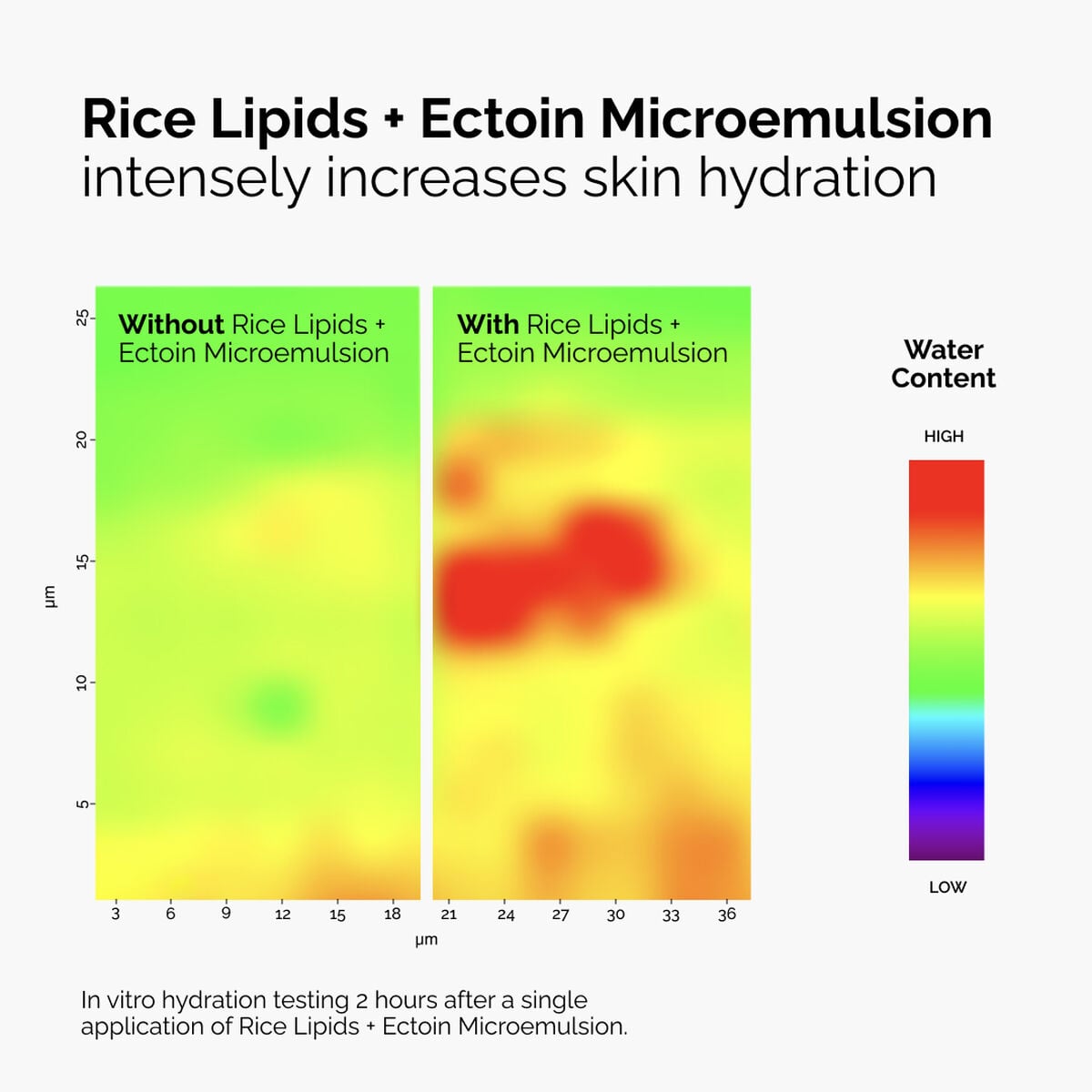 rice-lipids-ectoin-microemulsion-z4 ord-rice-lipids-ectoin-microemulsion-thermal-before-after.jpg